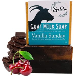 salo soap’s natural womens bar soap body wash with goat milk soap, vanilla, coco, coconut oil, olive oil, shea butter, face soap for women and womens body soap bars.