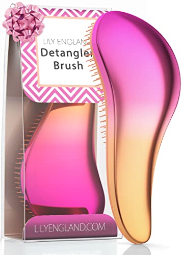 Detangling Brush. Detangler Hairbrush for Curly, Thick, Natural, Straight, Fine, Wet or Dry Hair for Women, Kids and Toddlers by Lily England (Pink / Orange)