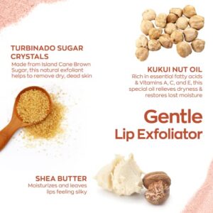 Vegan and Cruelty-Free Sugar Lip Scrub Exfoliator by Hanalei – Made with Hawaiian Cane Sugar, Kukui Oil, and Shea Butter to Exfoliate, Smooth, and Brighten Lips Made in the USA (22 g)