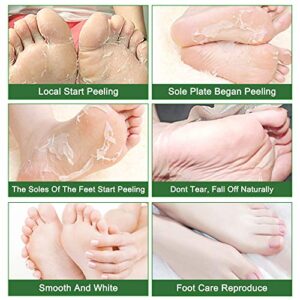 Foot Peel Mask 3 Pack, Exfoliating Foot Sock Mask, Baby Soft Foot Mask, Peel Away Calluses & Dead Skin, Repair Rough Heels in 1-2 Weeks, Build Silky and Soft Feet for Men & Women, Tee Tree Essence