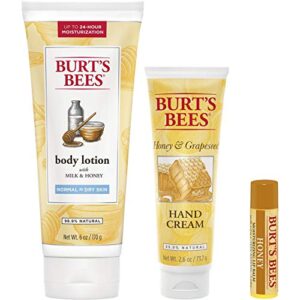 Burt's Bees Honey Pot Holiday Gift Set, 3 Honey Skin Care Products - Milk & Honey Body Lotion, Honey & Grapeseed Hand Cream and Honey Lip Balm