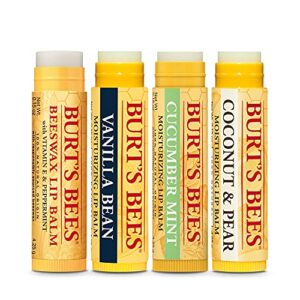 Burt’s Bees Holiday Gift, 4 Lip Balm Stocking Stuffer Products, Beeswax Bounty Assorted Set - Original Beeswax, Vanilla Bean, Cucumber Mint & Coconut Pear (Old Verison)