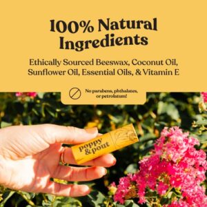 Poppy & Pout 100% Natural Lip Balm, 0.3oz Cardboard Tube, Hand-filled - Beeswax, Vitamin E, Organic Coconut Oil, Cruelty Free (Island Coconut)