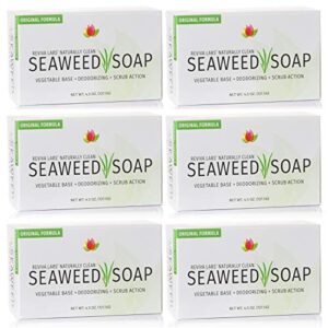 reviva seaweed soap – 6 pack – organic seaweed face scrub and exfoliating body scrub soap bar – 4.5 oz. vegetable base natural bar soap and seaweed bath detox soap made in the usa