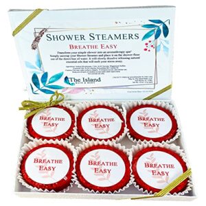 natural eucalyptus shower steamers – 6pc handmade in usa eucalyptus essential oils to relax, moisturize for spa day, self care – for men, women, moms, pampering gifts for her