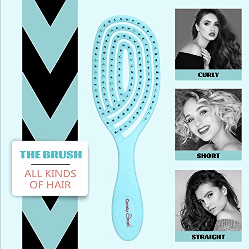 CANDYBRUSH Wet Brush Detangling Hair Brush Large Maze Style Detangler Hair Brush Ultra-Soft Bristles Vented Design For Curly Straight Women Men Kids Toddlers Wet and Dry Hair Blue