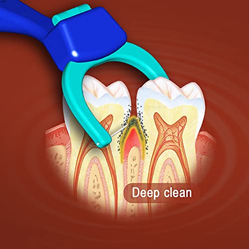 T.Smile Evolutionary Clean Dental Flossers, Kit of Refills Plus Mid-Length Handles, 3 Handles + 50 Extra-Strength Refills + 50 T-Tension Refills