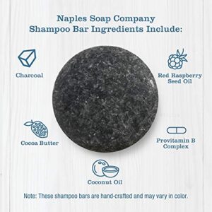 Naples Soap Company, 50-75 Use, Solid Shampoo Bar, Gentle, Eco-Friendly Haircare Helps Ensure Nourished and Healthy Hair, All Hair Types, Karma, 1.75 oz.