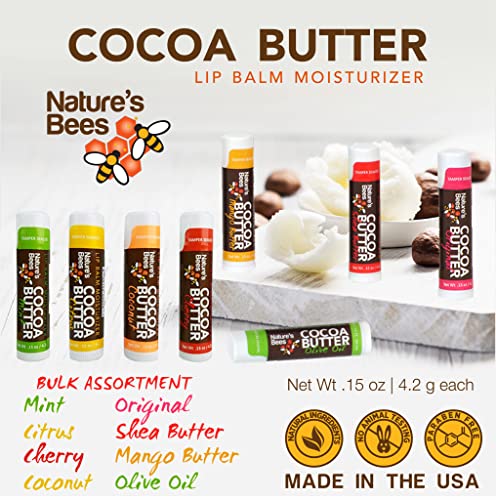 Nature's Bees (24 Count, 8 Flavors) Cocoa Butter Flavored Lip Balm Tubes Set Bulk Assortment Natural Chap Treatment Moisturizer For Very Dry Lips