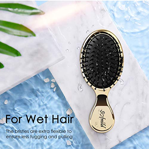 Hair Brush-Sofmild Mini Bristle Hairbrush with Nylon Pins+Travel Size Detangler Oval Hairbrush For Men Women And Kids,Convenient To Carry-2Piec