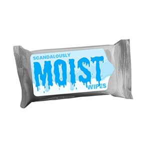 scandalously moist wipes pocket size wet towelettes – funny travel wipes for women stocking stuffer ideas disposable 15 count