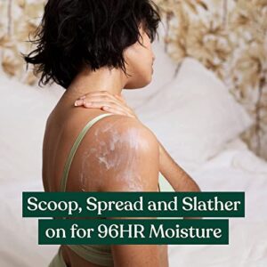The Body Shop Mango Body Butter – Nourishing & Moisturizing Skincare for Normal Skin – Vegan – 1.62 oz