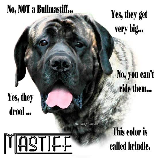 CafePress Mastiff(Brindle) FAQ Mug Ceramic Coffee Mug, Tea Cup 11 oz