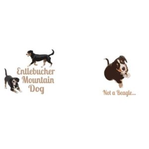 CafePress Not A Beagle Entlebucher Mountain Dog Mugs Ceramic Coffee Mug, Tea Cup 11 oz