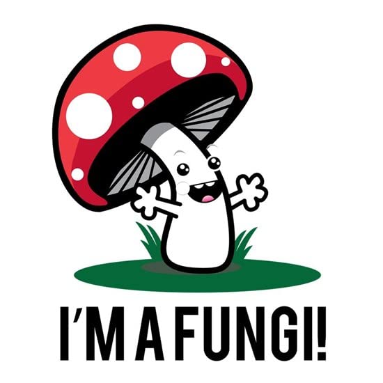 CafePress I'm A Fungi! Mugs Ceramic Coffee Mug, Tea Cup 11 oz