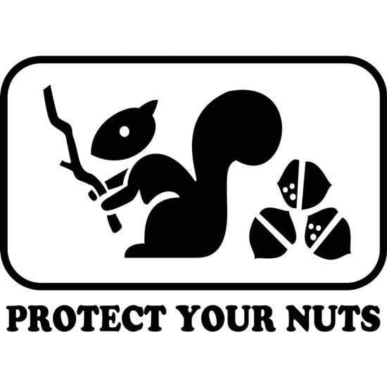 CafePress Protect Your Nuts Mug Ceramic Coffee Mug, Tea Cup 11 oz