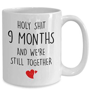 9 Month Anniversary Mugs Funny Quote Mug Gag Mug Funny Valentine's Day Mug for Husband Wife Boyfriend Girlfriend Men Women