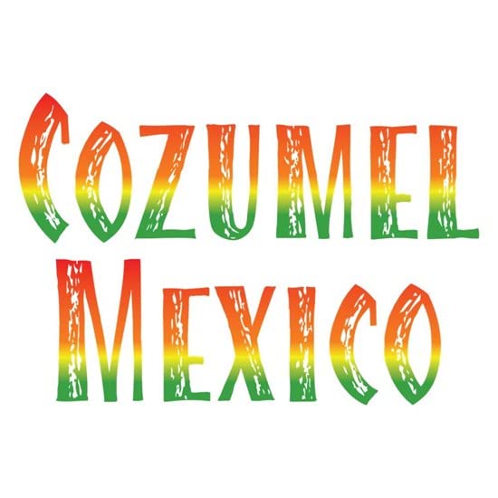 CafePress Cozumel Mexico Mug Ceramic Coffee Mug, Tea Cup 11 oz