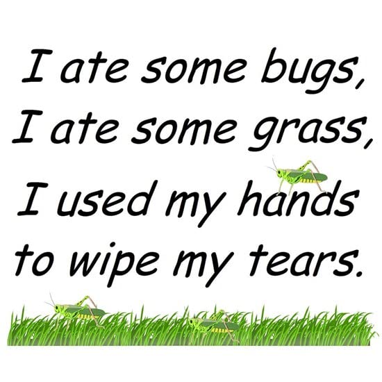 CafePress I Ate Some Bugs Mug Ceramic Coffee Mug, Tea Cup 11 oz