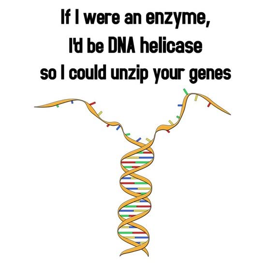 CafePress If I Were An Enzyme, I'd Be A DNA Helicase Mug Ceramic Coffee Mug, Tea Cup 11 oz