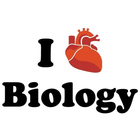 CafePress I (Heart) Biology Mug Ceramic Coffee Mug, Tea Cup 11 oz