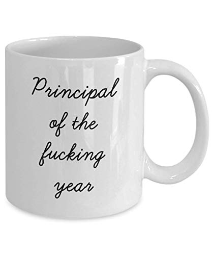 Best Principal Mug Funny Appreciation Mug for Coworkers Gag Swearing Mug for Adults Novelty Tea Cup