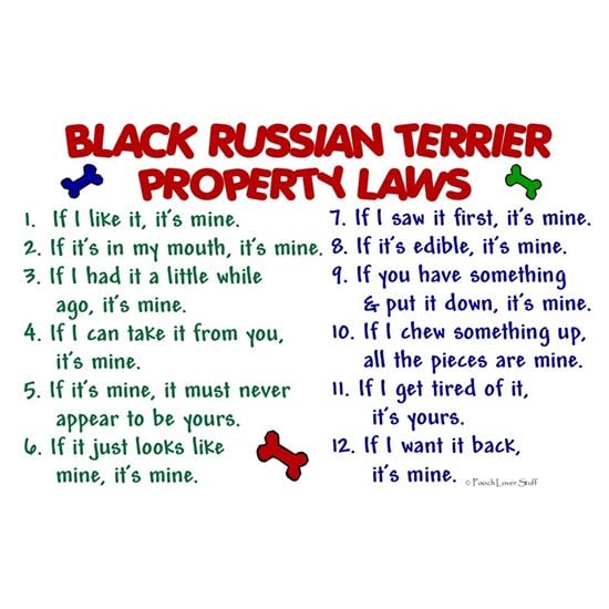 CafePress Black Russian Terrier Property Laws 2 Mug Ceramic Coffee Mug, Tea Cup 11 oz