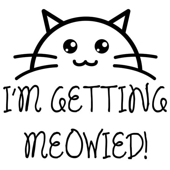 CafePress I'm Getting Meowied Mugs Ceramic Coffee Mug, Tea Cup 11 oz