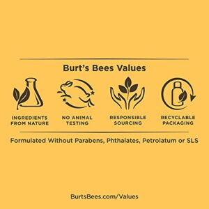 Burts Bees Conditioning Beard Balm with Aloe & Hemp, For Men, 3 Ounces