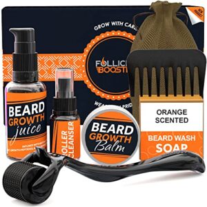 follicle booster complete beard growth kit – 6 in 1 – coverup your patchy beard in 12 weeks – roller, serum oil (1oz), balm (1oz), wash soap, cleanser and comb