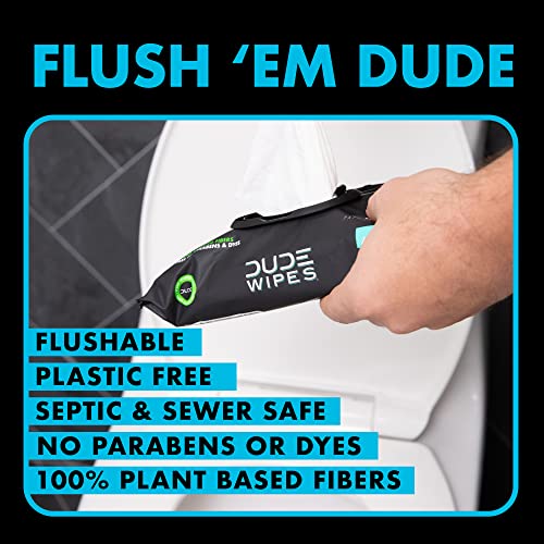 DUDE Wipes Flushable Wipes - 1 Pack, 48 Wipes - Unscented Wet Wipes with Vitamin-E & Aloe for at-Home Use - Septic and Sewer Safe