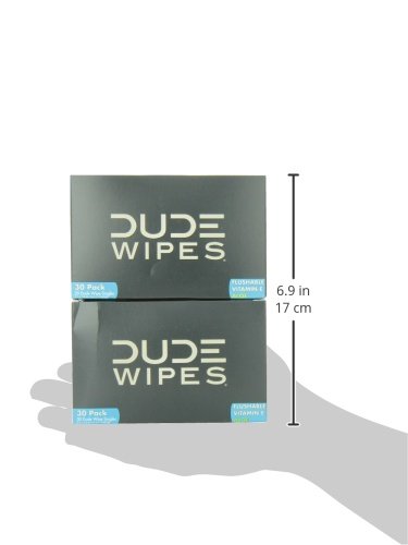 DUDE Wipes On-The-Go Flushable Wet Wipes - 2 Pack, 60 Wipes - Unscented Extra-Large Individually Wrapped Wipes with Vitamin E & Aloe - Septic and Sewer Safe