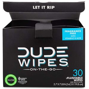 DUDE Wipes On-The-Go Flushable Wet Wipes - 2 Pack, 60 Wipes - Unscented Extra-Large Individually Wrapped Wipes with Vitamin E & Aloe - Septic and Sewer Safe