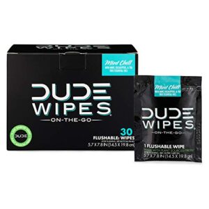 dude wipes on-the-go flushable wet wipes – 1 pack, 30 wipes – mint chill extra-large individually wrapped wipes with eucalyptus & tea tree oil – septic and sewer safe