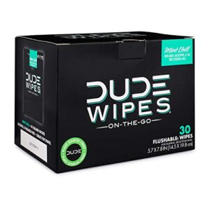 DUDE Wipes On-The-Go Flushable Wet Wipes - 1 Pack, 30 Wipes - Mint Chill Extra-Large Individually Wrapped Wipes with Eucalyptus & Tea Tree Oil - Septic and Sewer Safe