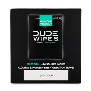 DUDE Wipes On-The-Go Flushable Wet Wipes - 1 Pack, 30 Wipes - Mint Chill Extra-Large Individually Wrapped Wipes with Eucalyptus & Tea Tree Oil - Septic and Sewer Safe