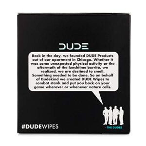 DUDE Wipes On-The-Go Flushable Wet Wipes - 1 Pack, 30 Wipes - Mint Chill Extra-Large Individually Wrapped Wipes with Eucalyptus & Tea Tree Oil - Septic and Sewer Safe