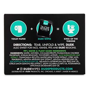 DUDE Wipes On-The-Go Flushable Wet Wipes - 1 Pack, 30 Wipes - Mint Chill Extra-Large Individually Wrapped Wipes with Eucalyptus & Tea Tree Oil - Septic and Sewer Safe