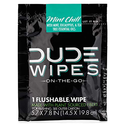 DUDE Wipes On-The-Go Flushable Wet Wipes - 1 Pack, 30 Wipes - Mint Chill Extra-Large Individually Wrapped Wipes with Eucalyptus & Tea Tree Oil - Septic and Sewer Safe