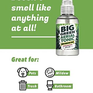 Big Green Odor Eliminator Spray Unscented | Removes Smell from Cars, Bathrooms, Homes 6oz