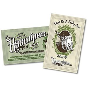 fresh body fb asswipes to go single packets- everyday flushable bathroom wipes with aloe and vitamin e (45 packets)