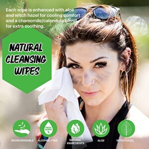 KLEAN FREAK Body 12-Count Wipes - Original Disposable Wipes, Individually Wrapped for the Gym, Workout, Hiking, Travel, and Sport (Tea-Tree)