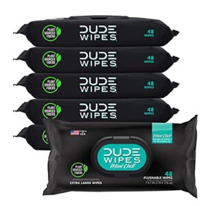 dude wipes flushable wipes – 6 pack, 288 wipes – mint chill extra-large wet wipes with eucalyptus & tea tree oil – septic and sewer safe