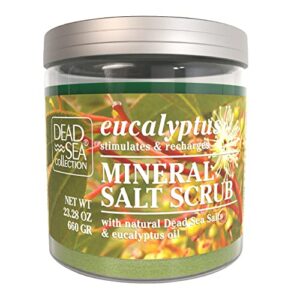 dead sea collection salt body scrub – large 23.28 oz – with eucalyptus – exfoliating effect – includes organic essential oils and natural dead sea minerals