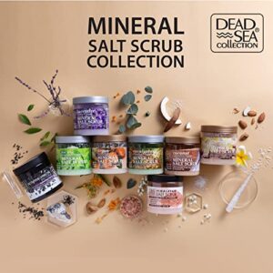 Dead Sea Collection Salt Body Scrub - Large 23.28 OZ - with Eucalyptus - Exfoliating Effect - Includes Organic Essential Oils and Natural Dead Sea Minerals