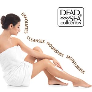 Dead Sea Collection Salt Body Scrub - Large 23.28 OZ - with Eucalyptus - Exfoliating Effect - Includes Organic Essential Oils and Natural Dead Sea Minerals