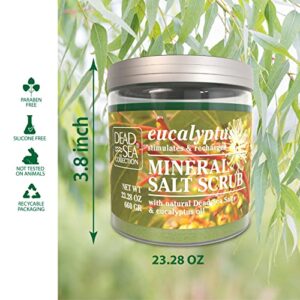 Dead Sea Collection Salt Body Scrub - Large 23.28 OZ - with Eucalyptus - Exfoliating Effect - Includes Organic Essential Oils and Natural Dead Sea Minerals