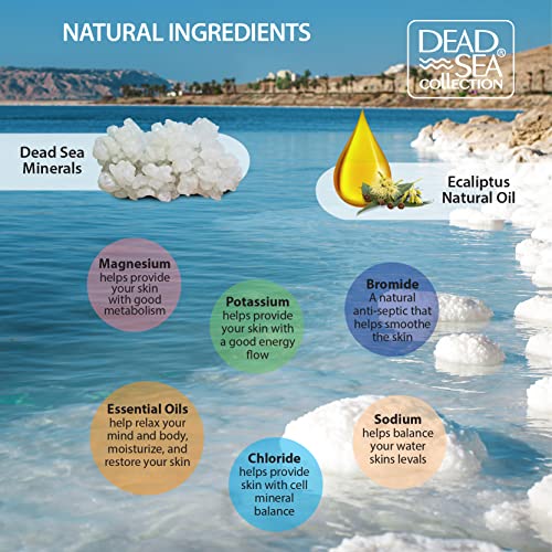 Dead Sea Collection Salt Body Scrub - Large 23.28 OZ - with Eucalyptus - Exfoliating Effect - Includes Organic Essential Oils and Natural Dead Sea Minerals