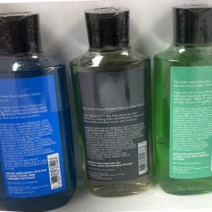 Bath and Body Works 3 Pack 2-in-1 Hair + Body Wash Freshwater, Graphite and Ocean. 10 Oz.