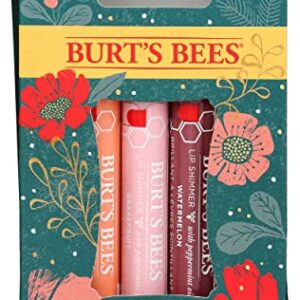 Burts Bees Cool Kissable Color Gift Set, 1 EA